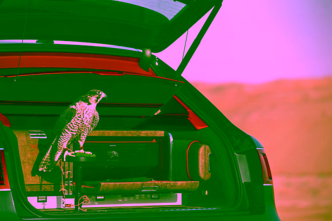 bentley-bentayga-falconry-set